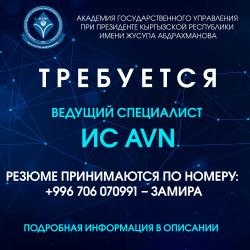 Требуется ведущий специалист ИС AVN Требуется ведущий специалист ИС AVN